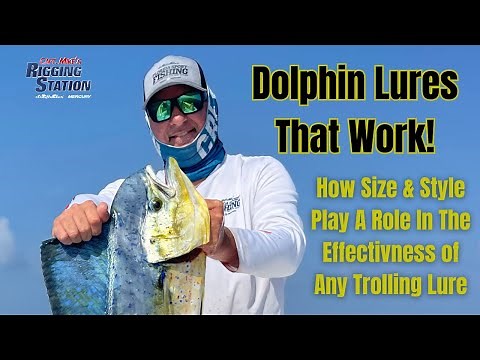Dolphin Trolling Tip | Dolphin Lures Trolling Tip | How to catch Dolphin Trolling Tip | Fsftv #2024