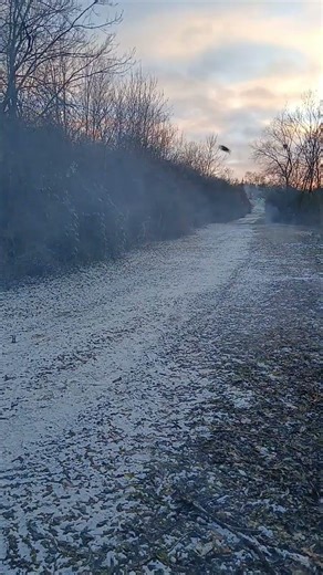 Triple Pirate Bomb | #fireworks #feuerwerk #pyro #viral #viralvideo