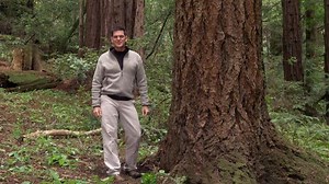 Dinosaur Train - Dinosaur Discoveries: Decomposition Video | PBS KIDS