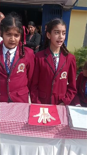 school exibition of science model