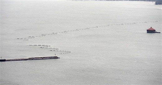 Crews prepare for removal of Lake Erie Ice Boom