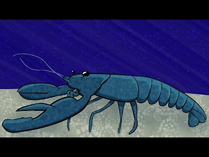 Sharpened Nail Only All Bindings Collector