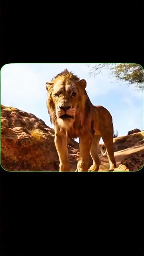 Simba Lost His Father 💔 | The Lion King | Emotional Scene#hollywood