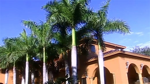 angel rebelde - capitulo 67