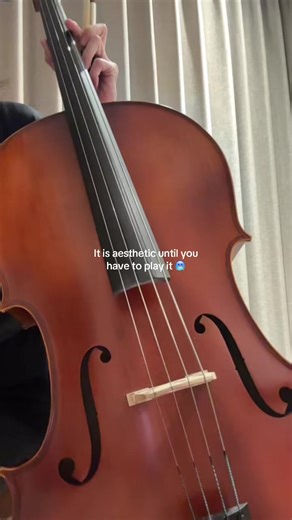 Aesthetics were the last thing on my mind when I chose to learn this instrument. I fell in love with the sound. But at that time, I didn’t realize it was that hard 🤣 #cello #cellist #learningcello #learninganinstrument #beginnercellist