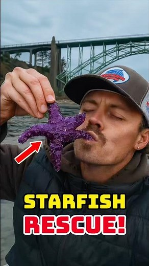 Rescuing Real Life Patrick Star! 😱 #animalrescue #cuteanimals #shorts