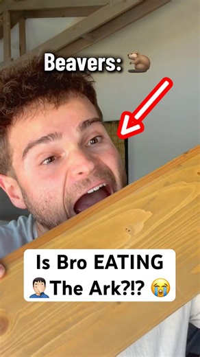 POV: A Beaver on Noah’s Ark (GONE WRONG)‼️✝️😭🦫😱