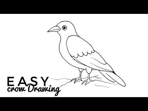 Easy Craw Drawing | Step By Step Tutorial