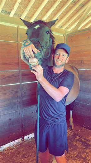 #horner #theteethman #aussie #equinedentist #helpinghorses
