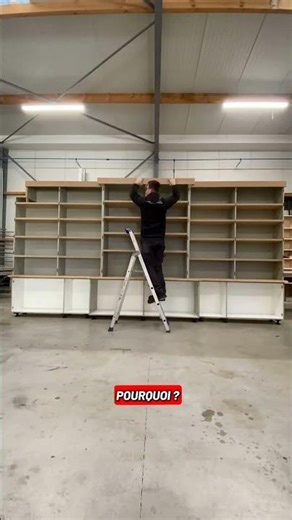 Bibliothèque 4,80m + 500 livres