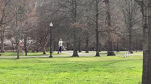 9.9K views · 215 reactions | Slack rope walker at Ritter Park today. #HuntingtonWV | Downtown Huntington | Facebook