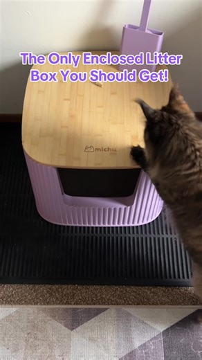Enclosed Litter Box Options for Your Cat
