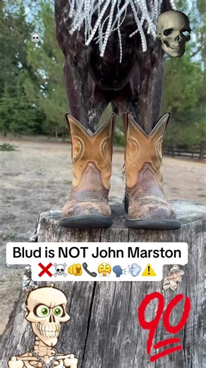 Understanding 'Blud is NOT' Memes in Online Culture