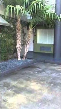 Stroll around our resort BEST WESTERN Hibiscus Motel in Key West