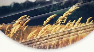 AE Template: Stylish Slideshow SBV-312991698 - Storyblocks