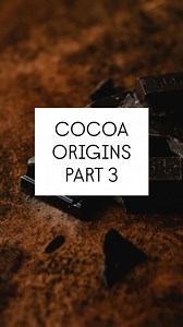 From the humble cocoa bean to the richness of powder — this is the...