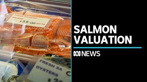 New report values Tassie salmon sector at $1.36bn
