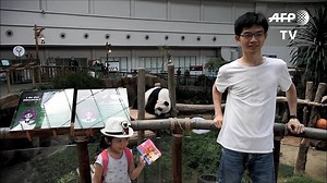 1.3K views · 19 reactions | Scores of animal lovers visit a zoo in Kuala Lumpur for the first public viewing of a cub, the second born in the Southeast Asian country in less than three years. | AFP News Agency | Facebook