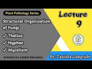 Fungal Cell | Structural Organisation of Fungi | Thallus | Hyphae | Mycelium by Tanisha Gangrade