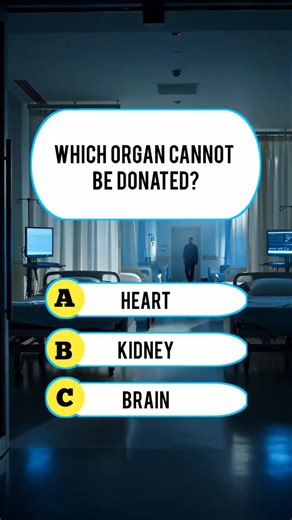 Which Organ? 🤔 #quiz #trivia #triviatricks #mindbendingquiz #quizgame #facts #shorts