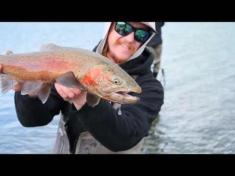 Fly Fishing Pyramid Lake with Pyramid Fly Co. - Premier Guide Service and Outfitter