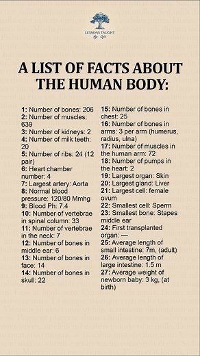 A list of facts about the human body | Lessons Taught By Life