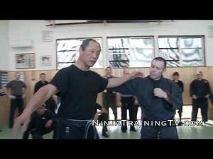 Budo Taijutsu of Nagato Sensei at Hombu Dojo 6
