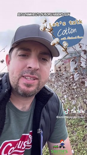 Exploring Fun Facts About Cotton