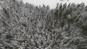 Here's how much snow is expected in the Cascades Friday