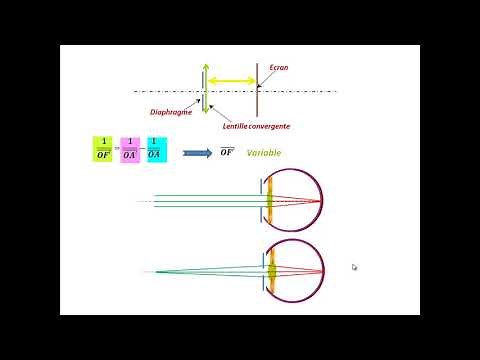 The eye: What is the phenomenon of accommodation? What are the defects and how can they be correc...