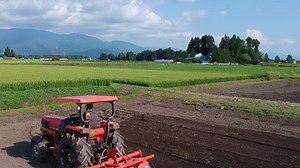 「農業」の写真素材 | 34,277,230件の無料イラスト画像