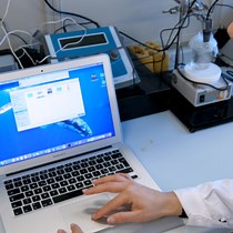 Video: Assessing the Influence of Personality on Sensitivity to Magnetic Fields in Zebrafish