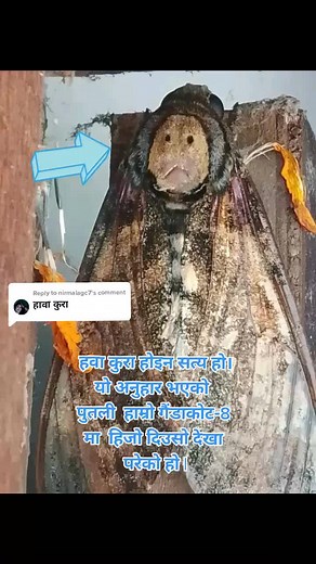 Reply to @nirmalagc7