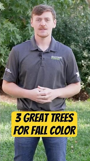Bring Fall Color to Life! Top 3 Trees for Autumn Beauty