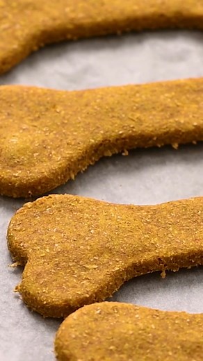 Today, we’re making dog treats with just a few simple ingredients. Pumpkin purée, peanut butter, eggs, whole-wheat flour, and cinnamon are all you need! Honestly, it’s a relief knowing what exactly goes into these dog treats so we don’t have to worry! https://therecipecritic.com/homemade-dog-treats/ | Tried and True Recipes