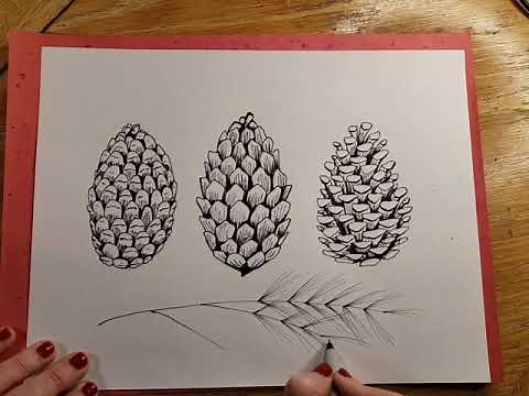 How to Draw a Pinecone