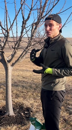 16K views · 298 reactions | The best way to feed your tree? Feeding the soil it lives in with Espoma Organic Tree-tone! Follow along as Wyse Guide gives his trees a head-start this spring to promote strong growth. Grab your own bag, put it around the base of your tree, and rake it in!  Watch the full video: https://heyor.ca/kfuwPF | Espoma Organic | Facebook