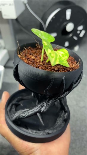 unique planter pot✨ #3dprinting #homedecor #planterpot #personalizedgifts #business