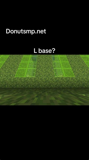 Beginner's Guide to Kelp Farming Tips