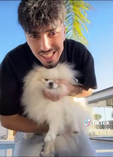 ‏حبيت 👀🔥 # # #المصمم #احمد @Alannn