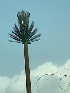 [Hot Item] Coconut Tree Design Monopole Tower for Wireless Networks