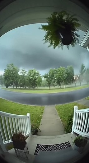 143K views · 793 reactions | Caught on the porch cam. A loud crack. The tree splits during the storm with no visible lightning ️ #Storm #Tree #DoorbellCam #Weather #Viral | Wild Wild AI | Facebook