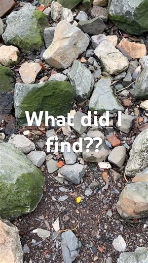 What did I find here? A mudlarking adventure #mudlarking #shorts #exploring