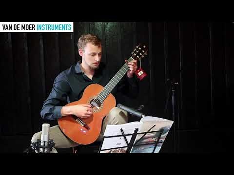 Alhambra 6P Klassieke Gitaar