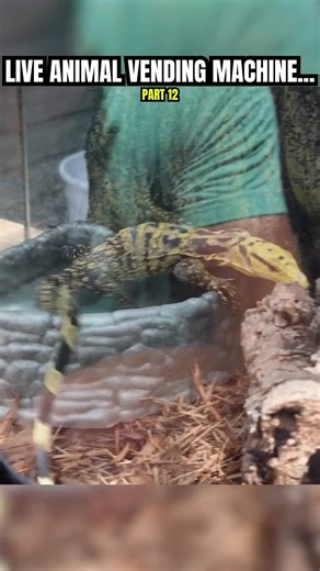 RawwFishing on Instagram: "I found a LIVE animal vending machine… part 12 of 12!"