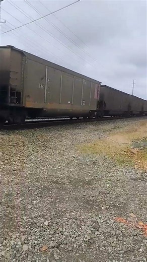 Bnsf 8086 8334 9356 7280 SD70ACe #railroad #bnsf #trainspotting #trains #railfan