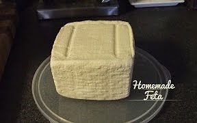 【cheese】Gavin Webber教你制作飞达奶酪 Feta cheese！