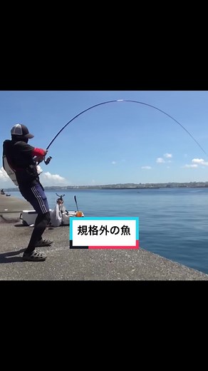 沖縄県の沖堤防でフカセ釣りをしていたら、規格外の魚が食ってきた！ 竿もリールも壊される？！ 気温は30度を超える無風の中、真夏の激闘が繰り広げられました！ ヒットから取り込みまで23分🕰️ 限界ギリギリの勝負でした！ #沖縄 #釣り #okinawa #fishing #biggame