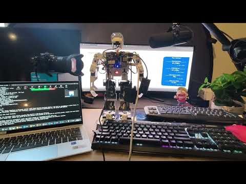 Project 5 — Robot Financial Analyst with Documentary-Style Narration