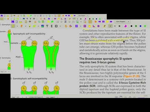 Self incompatibility, cytoplasmic male sertility,hetrostyle 